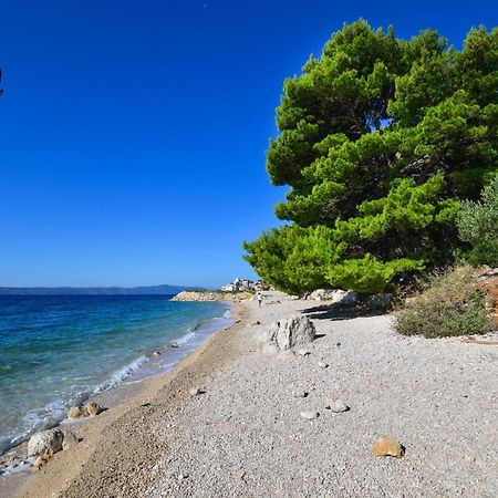 Apartman Luka Igrane Dış mekan fotoğraf